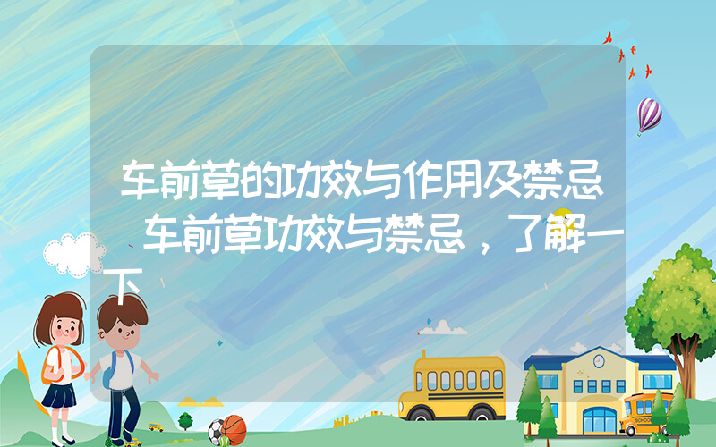 车前草的功效与作用及禁忌(车前草功效与禁忌，了解一下)