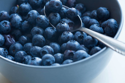 蓝莓品种有哪些，什么品种好