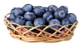 蓝莓品种有哪些，什么品种好