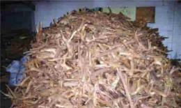 檀香纯露功效与使用 Sandalwood