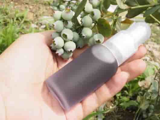 蓝莓籽油，护肤美容的佳品