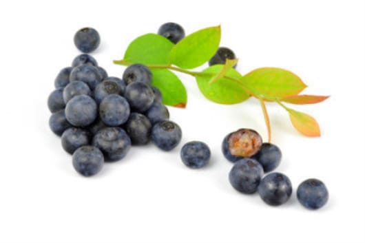 吃蓝莓有什么好处，蓝莓的皮可以吃吗