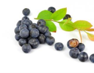 吃蓝莓有什么好处，蓝莓的皮可以吃吗
