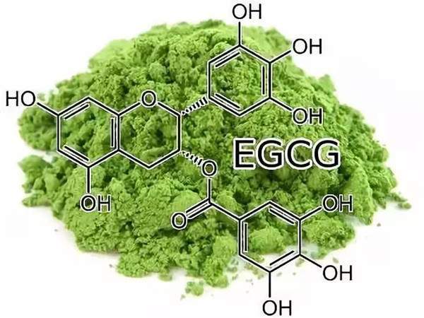 egcg有哪些功效(EGCG功效大揭秘惊艳抗氧化、减肥、抗癌等多重好处)