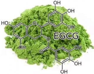 egcg有哪些功效(EGCG功效大揭秘惊艳抗氧化、减肥、抗癌等多重好处)
