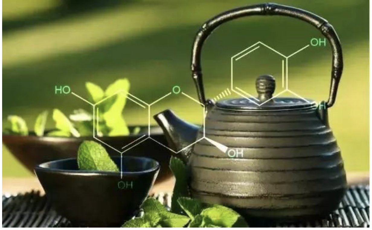 EGCG的功效与作用：解析绿茶中的神奇成分