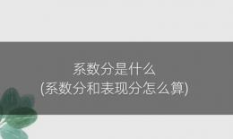 系数分是什么(系数分和表现分怎么算)