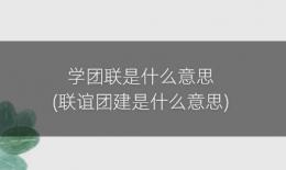学团联是什么意思(联谊团建是什么意思)