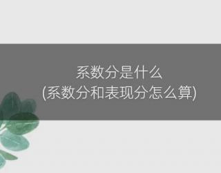 系数分是什么(系数分和表现分怎么算)