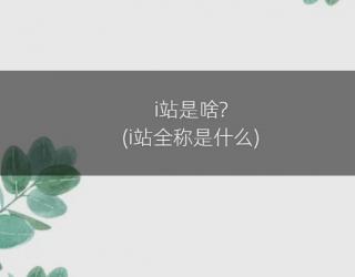 i站是啥?(i站全称是什么)