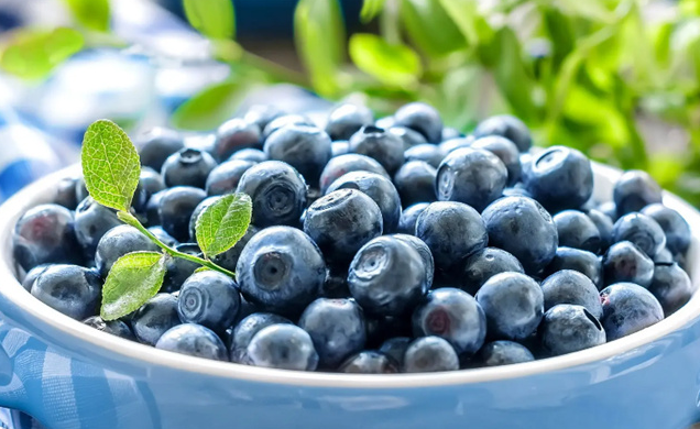 蓝莓的功效与作用，都有那些营养功效？