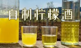 柠檬酒的做法和功效(手工柠檬酒制作方法及功效)