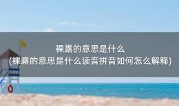 裸露的意思是什么(裸露的意思是什么读音拼音如何怎么解释)