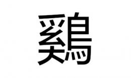 大写鸡多少画(鸡的大写长什么样)