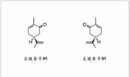 芳疗小知识｜单萜酮 - 香芹酮