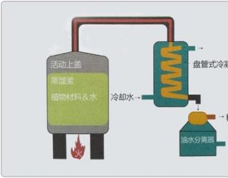 芳疗小知识｜精油的萃取方式之蒸馏法（上）