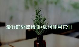 最好的驱蚊精油+如何使用它们