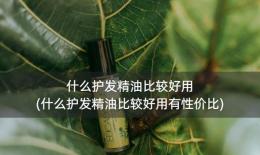 什么护发精油比较好用(什么护发精油比较好用有性价比)