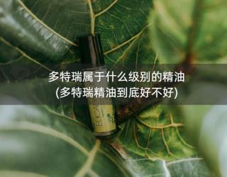 多特瑞属于什么级别的精油(多特瑞精油到底好不好)