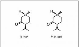 芳疗小知识｜单萜酮 - 薄荷酮