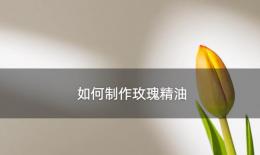 如何制作玫瑰精油