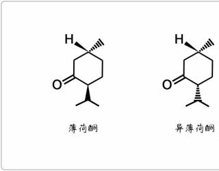 芳疗小知识｜单萜酮 - 薄荷酮