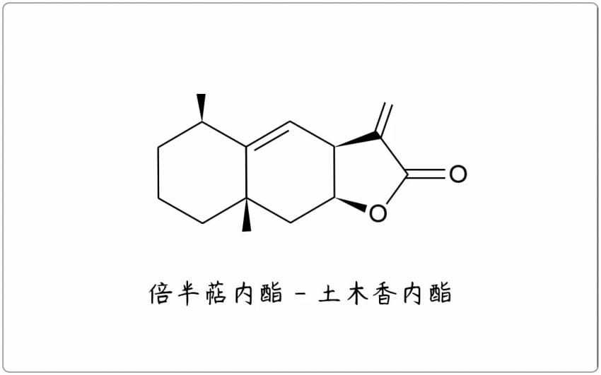 芳疗小知识｜倍半萜内酯 - 土木香内酯