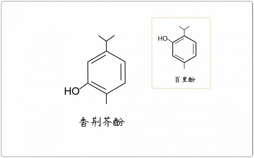 芳疗小知识｜酚类 - 香荆芥酚