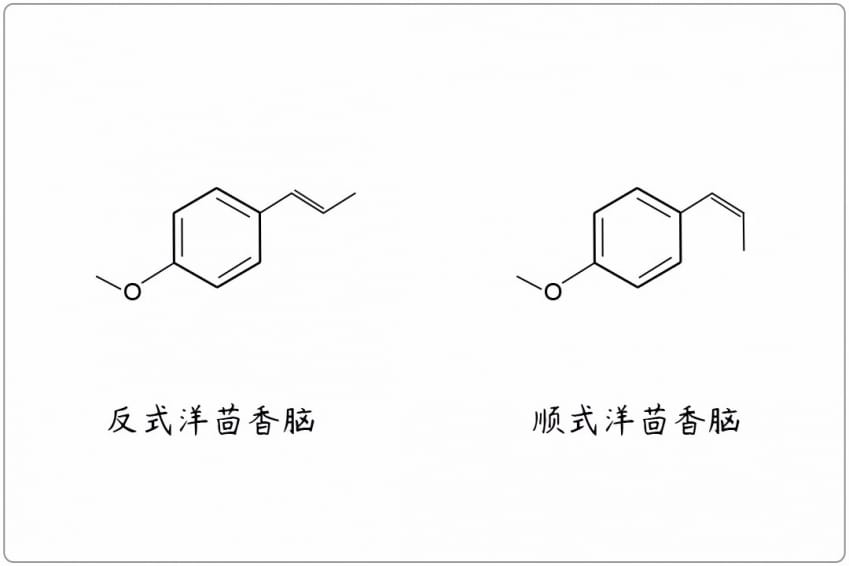 芳疗小知识｜醚类 - 洋茴香脑