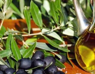 如何使用橄榄油护理头发