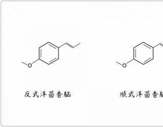 芳疗小知识｜醚类 - 洋茴香脑