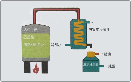 芳疗小知识｜纯露的疗愈特性和常用方式