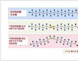 芳疗小知识｜多元不饱和脂肪酸的功效（二）