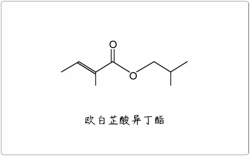 芳疗小知识｜脂肪酸酯 - 欧白芷酸异丁酯