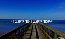 什么是精油(什么是精油SPA)