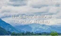 什么精油可以帮助你入睡(安神快速入睡的精油)