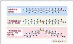 芳疗小知识｜基础油化学 - 脂肪的饱和度（一）