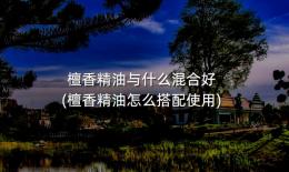 檀香精油与什么混合好(檀香精油怎么搭配使用)