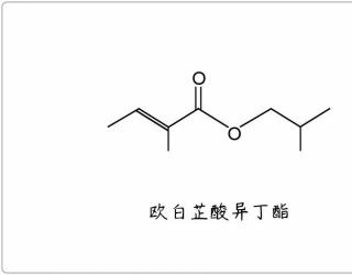 芳疗小知识｜脂肪酸酯 - 欧白芷酸异丁酯