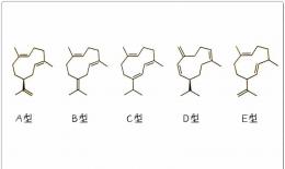 芳疗小知识｜倍半萜烯 - 大根老鹳草烯
