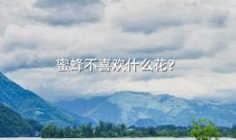 蜜蜂不喜欢什么花？