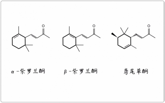 芳疗小知识｜倍半萜酮 - 紫罗兰酮