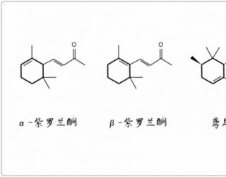 芳疗小知识｜倍半萜酮 - 紫罗兰酮