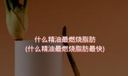 什么精油最燃烧脂肪(什么精油最燃烧脂肪最快)