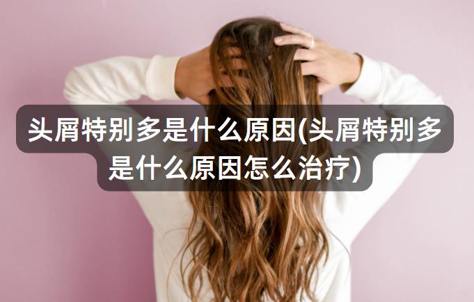 头屑特别多是什么原因(头屑特别多是什么原因怎么治疗)