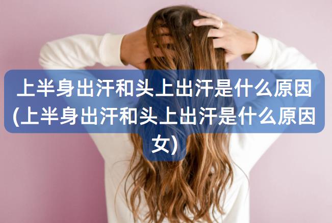 上半身出汗和头上出汗是什么原因(上半身出汗和头上出汗是什么原因女)