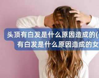 头顶有白发是什么原因造成的(头顶有白发是什么原因造成的女)