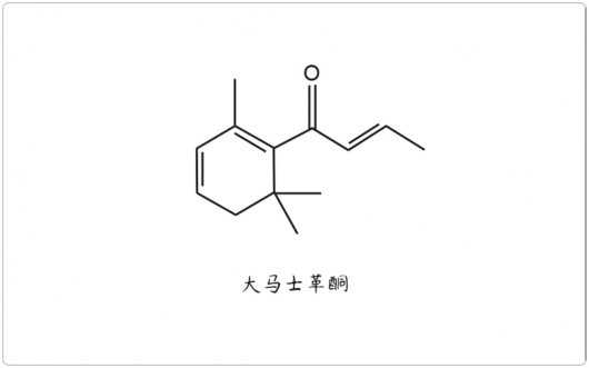 芳疗小知识｜倍半萜酮 - 大马士革酮