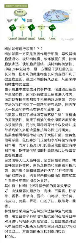 早安[太阳]今日精油知识分享，关于精油抗菌的实验结果，是国内前沿的研究成果