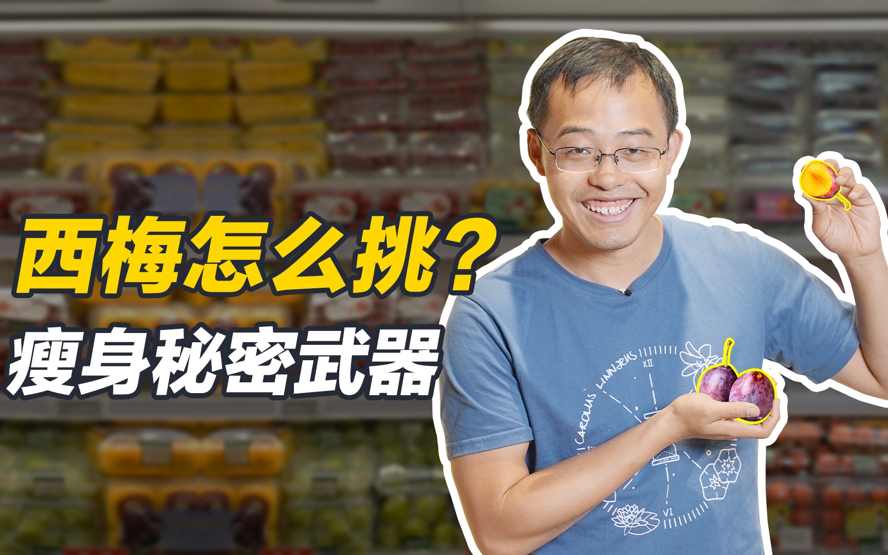 野梅子的功效与作用(野梅子的功效与作用，助您健康生活)